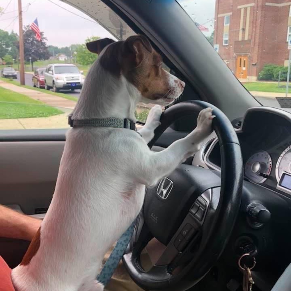 Meet your Posher, Susanna